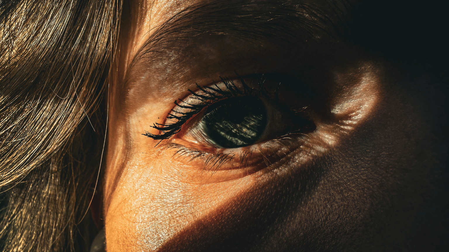 The 8 Phases of EMDR: A Complete Guide to Eye Movement Desensitization and Reprocessing Therapy