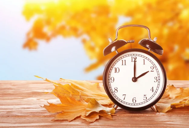 Alarm clock beside autumn leaves, a reminder of shorter days and less sunlight in fall